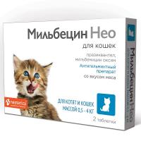 Цены «Ёж» на Проспекте Просвещения в Санкт‑Петербурге — Яндекс Карты